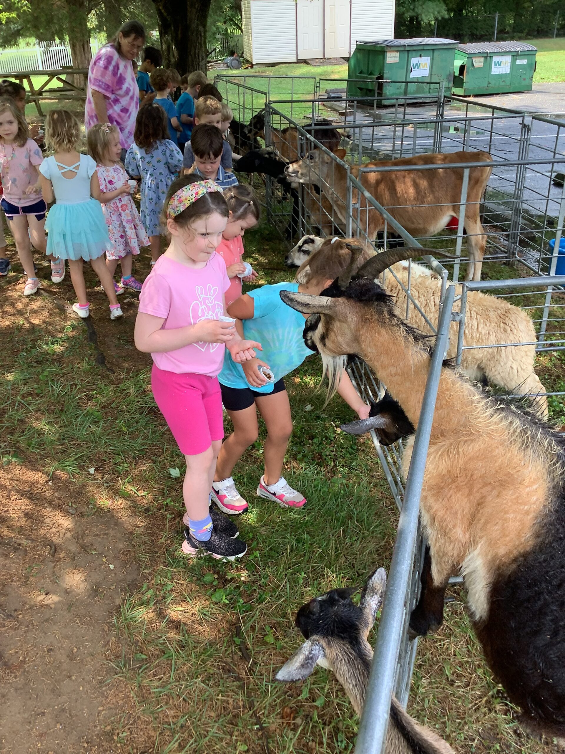 Norbeck Montessori Child  at summer camp image